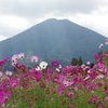 夷守岳を背景に