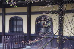 南禅寺境内