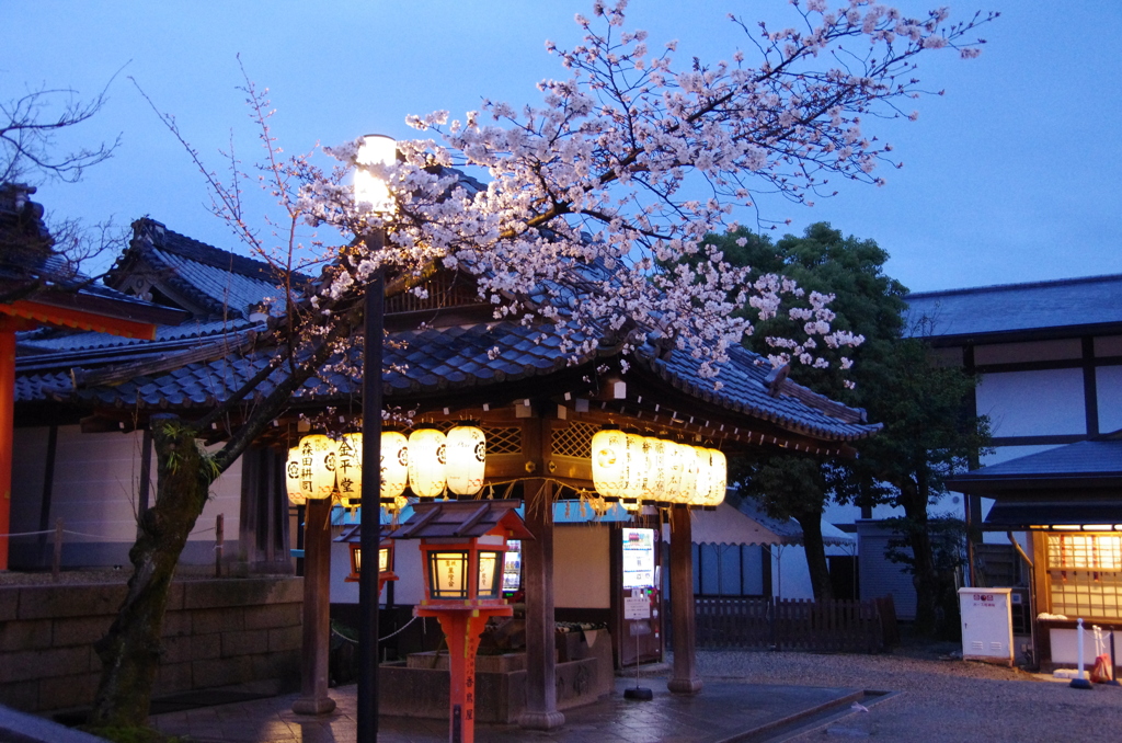 八坂神社境内