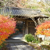 紅葉でお出迎え