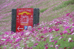 2024年生駒高原ゲート