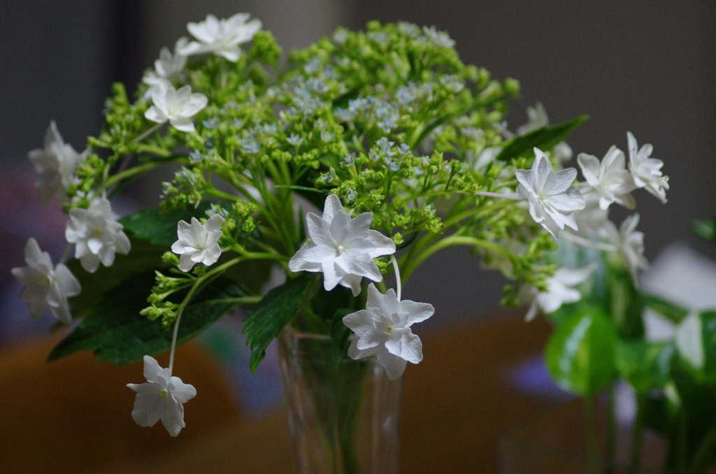 雪花火