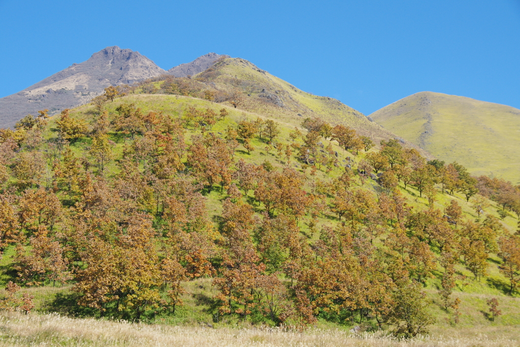 山肌に紅葉