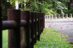 秋の遊歩道と防護柵