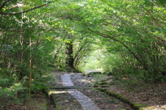 大浪池登山道