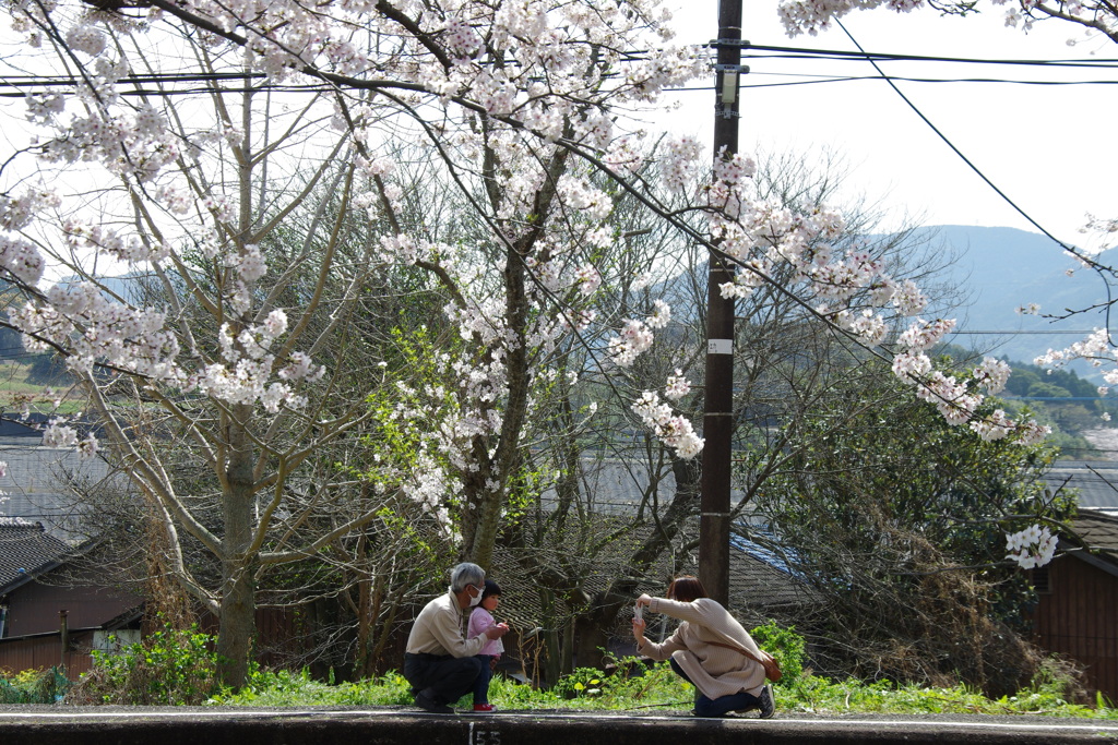微笑ましい光景