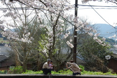 微笑ましい光景