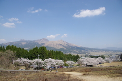 遠景に桜映え