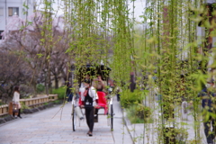 京都の風情