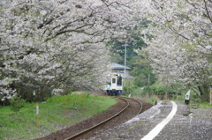 桜電車の入場