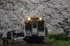 桜の駅出発