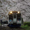 桜の駅出発