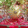 さげもの祭り