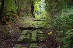 遊歩道に秋の気配