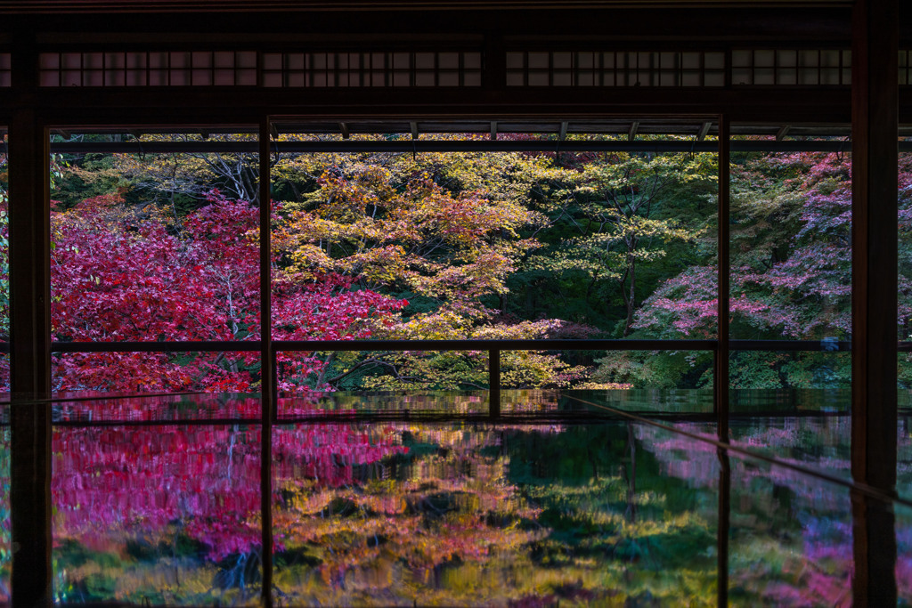 Reflection of colored leaves