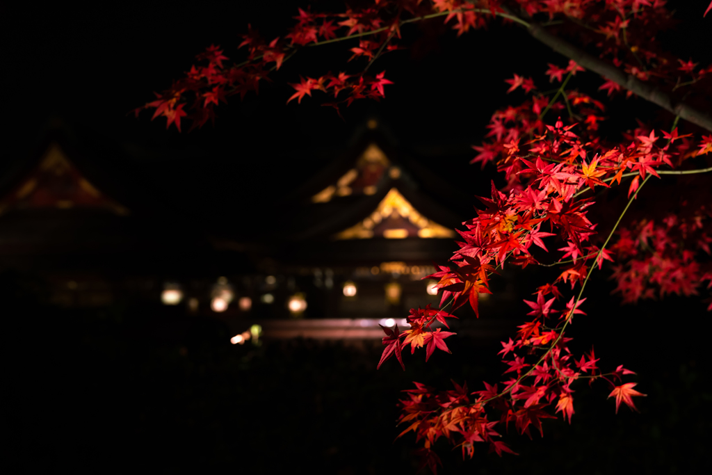 kitano tenmangu