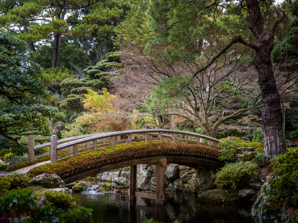 Kyoto Imperial Palace