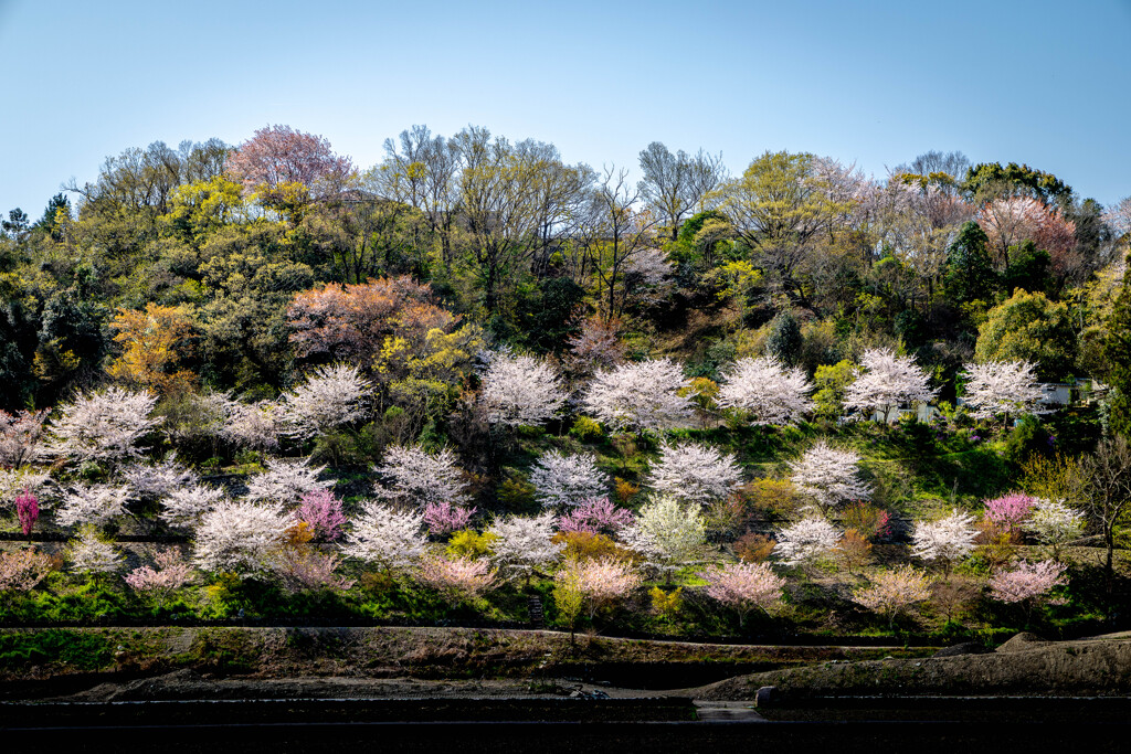 feel spring in the air