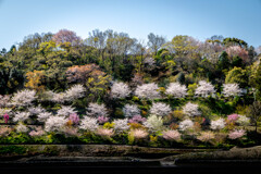 feel spring in the air