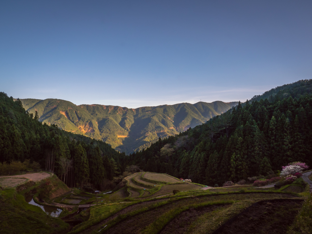 Rice terrace of Kashihara