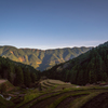 Rice terrace of Kashihara