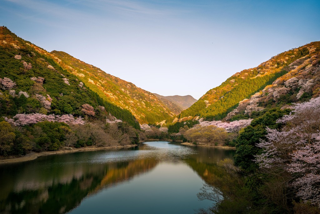 Spring Evening
