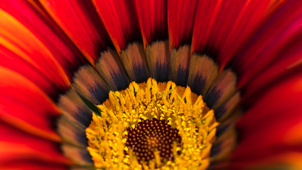 Radially