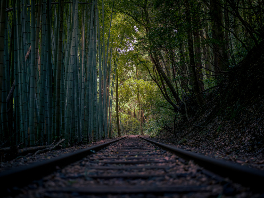 disused railway line