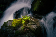 motion and stillness