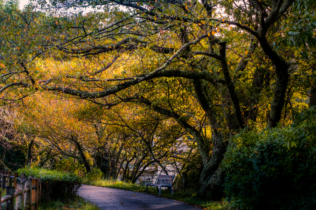 Alameda