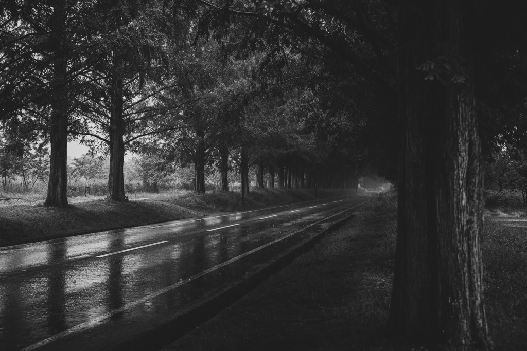 sound of rain