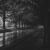 sound of rain