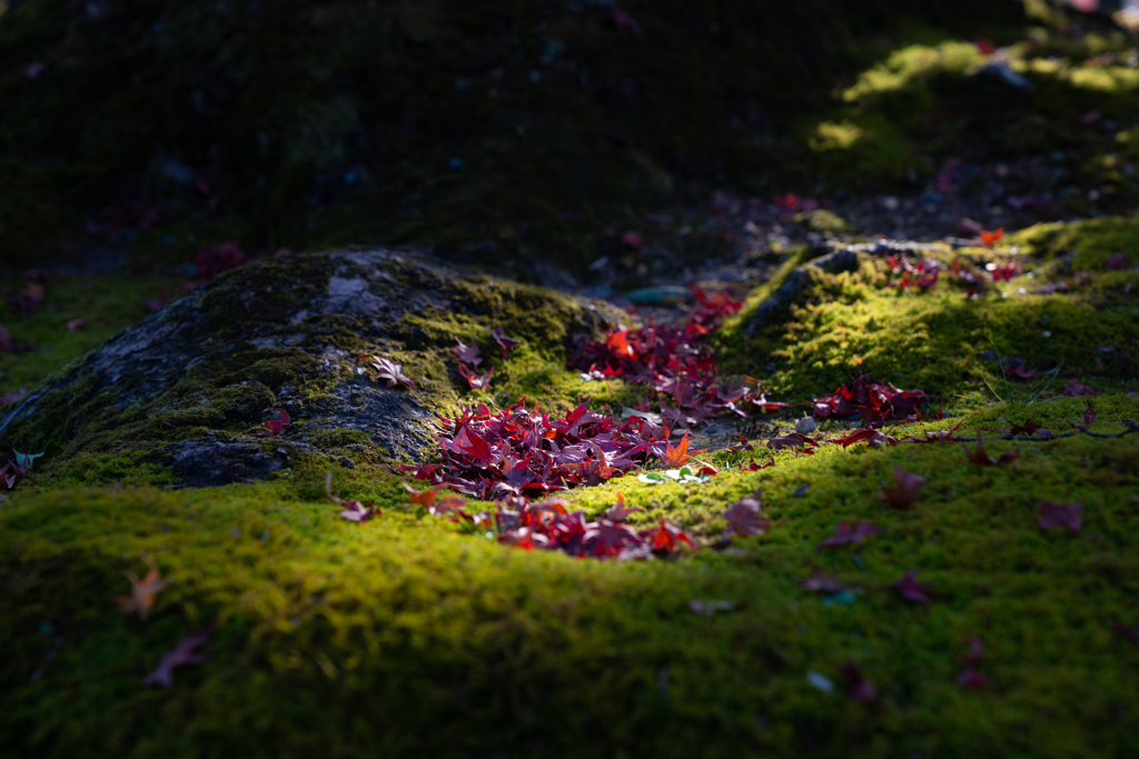 end of autumn