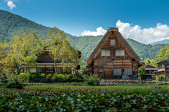 Thatched Roof