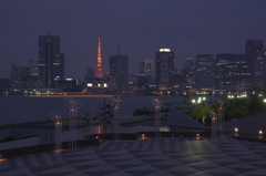 晴海埠頭の夜景　曇りでした
