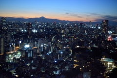 東京タワーからみた、富士山の夜景