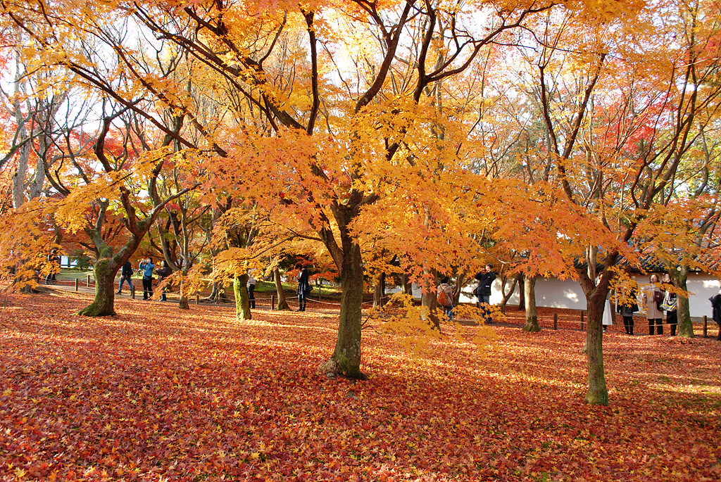 京都