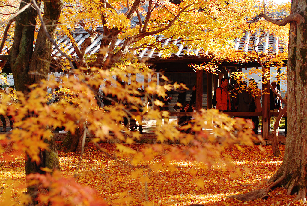 京都