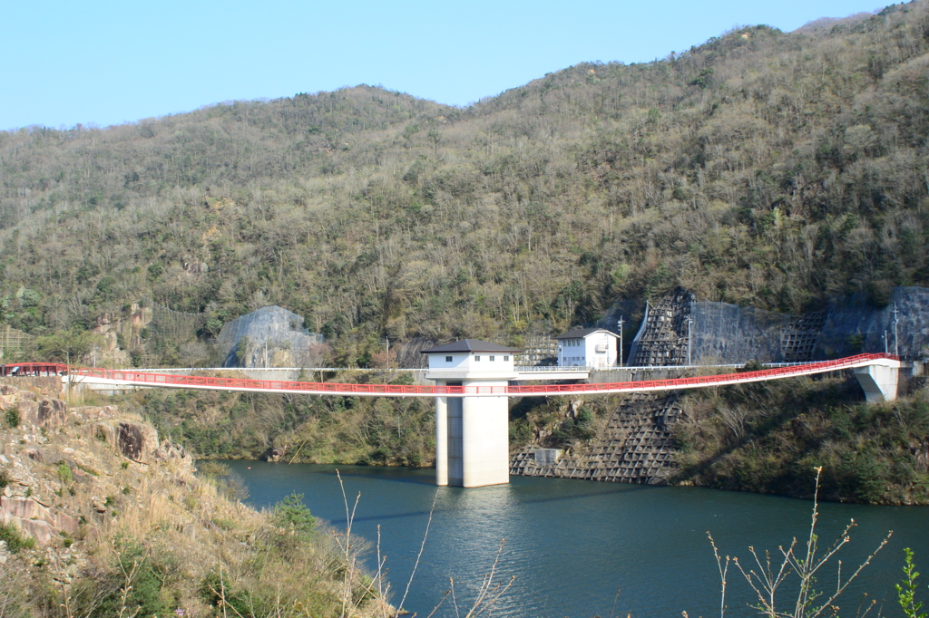 世界一の夢吊橋　1