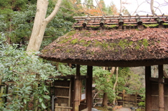 祇王寺