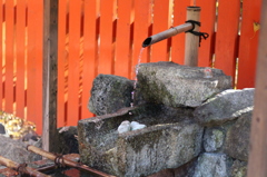 下鴨神社