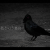 赤目の真実