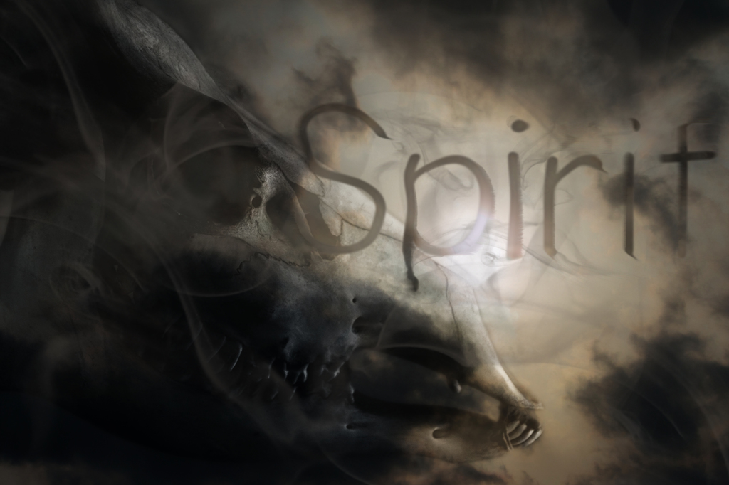 spirit