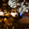 今年もクリスマス