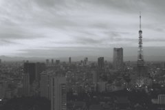 FH000022