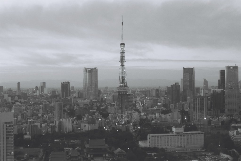 FH000019