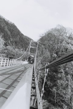 FH000022