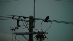 P1010343