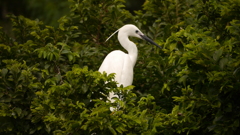 P1000966