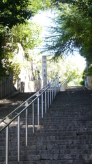 P1010405